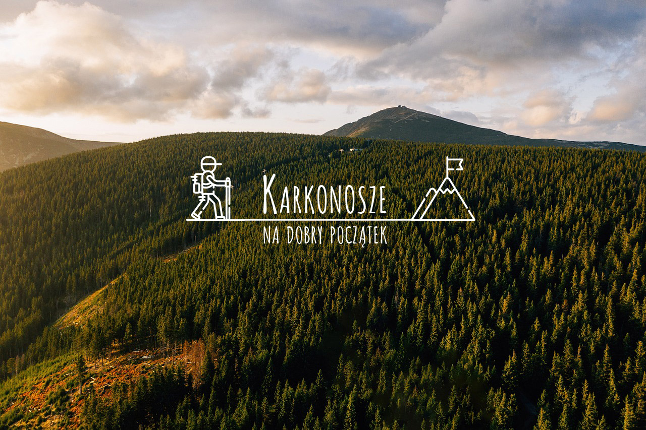Copyrights: picture: pixabay.com , marcinzwojak icons: flaticon.com/free-icons/mission